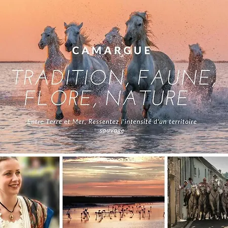 Les Jardins Du Couchant * Proche * Climatisation * Parking Prive * La Grande Motte